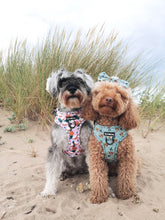 Load image into Gallery viewer, Coconutty Bundle: Harness + Lead + PBH