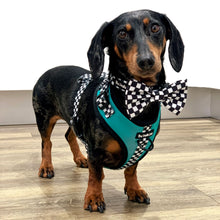 Load image into Gallery viewer, PAWcedes Harness