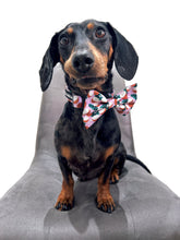 Load image into Gallery viewer, Coconutty Bow Tie