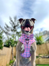 Load image into Gallery viewer, Bubblegum Plaid Collar