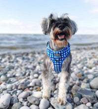 Load image into Gallery viewer, Blueberry Plaid Bundle: Harness + Lead + PBH