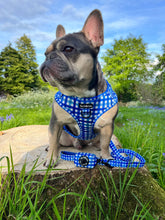 Load image into Gallery viewer, Blueberry Plaid Harness