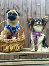 Load image into Gallery viewer, Blueberry Plaid Harness