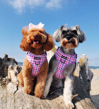 Load image into Gallery viewer, Bubblegum Plaid Bundle: Harness + Lead + PBH