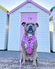 Load image into Gallery viewer, Bubblegum Plaid Bow Tie