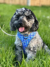Load image into Gallery viewer, Blueberry Plaid Harness