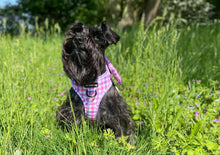 Load image into Gallery viewer, Bubblegum Plaid Harness