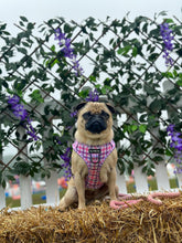 Load image into Gallery viewer, Bubblegum Plaid Bundle: Harness + Lead + PBH