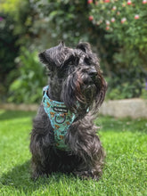 Load image into Gallery viewer, The Crafty Cow Harness