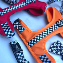 Load image into Gallery viewer, RESTOCKED - MCLAWren Harness
