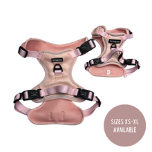 Load image into Gallery viewer, Coral Explorer Harness