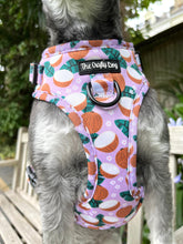 Load image into Gallery viewer, Coconutty Harness