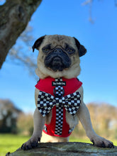 Load image into Gallery viewer, FURrari Bundle: Harness + Lead + PBH