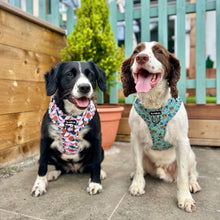 Load image into Gallery viewer, Coconutty Bundle: Harness + Lead + PBH