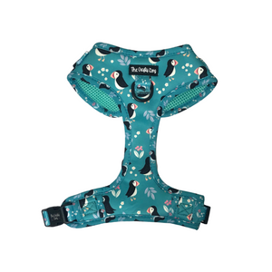 All Or Puffin Bundle: Harness + Lead + PBH