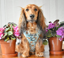 Load image into Gallery viewer, The Crafty Cow Harness