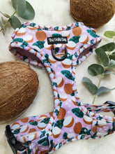 Load image into Gallery viewer, Coconutty Harness
