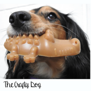 Dental Croc Dog Treats - size Medium - Peanut Butter OR Algae, Fennel, Parsley + Green Tea