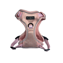 Load image into Gallery viewer, Coral Explorer Harness