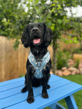 Load image into Gallery viewer, Mine Mine Mine Harness