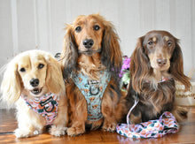 Load image into Gallery viewer, Coconutty Bundle: Harness + Lead + PBH