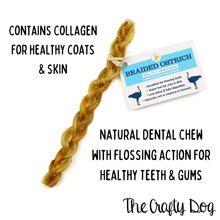 Load image into Gallery viewer, JR Pet Products - Braided Ostrich Tendons - 15cm