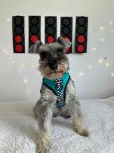 Load image into Gallery viewer, PAWcedes Bundle: Harness + Lead + PBH