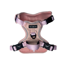 Load image into Gallery viewer, Coral Explorer Harness