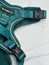 Load image into Gallery viewer, Seafoam Explorer Harness