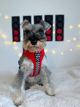 Load image into Gallery viewer, FURrari Harness