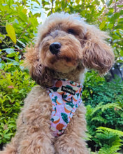 Load image into Gallery viewer, Coconutty Harness