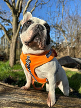 Load image into Gallery viewer, RESTOCKED - MCLAWren Bundle: Harness + Lead + PBH