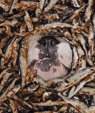 Load image into Gallery viewer, Whole Sprats - 85g Bag