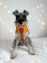 Load image into Gallery viewer, RESTOCKED - MCLAWren Harness