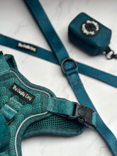 Load image into Gallery viewer, Seafoam Explorer Harness