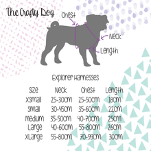 Load image into Gallery viewer, Coral Bundle: Harness + Lead + PBH