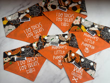 Load image into Gallery viewer, Halloween - Cookies - XS + Small + Medium + Large