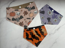 Load image into Gallery viewer, Halloween - Assorted Bats - Small + Large