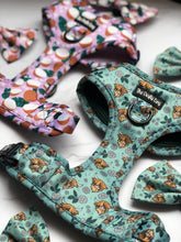 Load image into Gallery viewer, Coconutty Harness