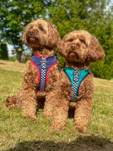 Load image into Gallery viewer, Red Dog Bundle: Harness + Lead + PBH