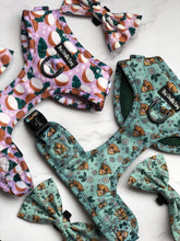Load image into Gallery viewer, Coconutty Bundle: Harness + Lead + PBH