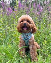 Load image into Gallery viewer, The Crafty Cow Harness