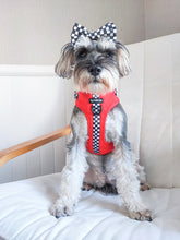 Load image into Gallery viewer, FURrari Bundle: Harness + Lead + PBH