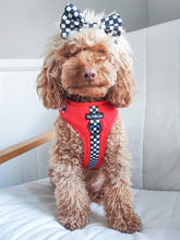 Load image into Gallery viewer, PAWmula 1 Bow Tie