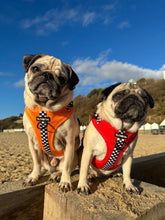 Load image into Gallery viewer, RESTOCKED - MCLAWren Harness