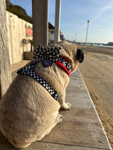 Load image into Gallery viewer, PAWmula 1 Bow Tie