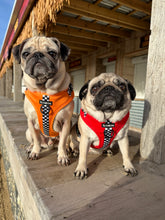 Load image into Gallery viewer, FURrari Bundle: Harness + Lead + PBH