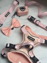 Load image into Gallery viewer, Coral Seat Belt Restraint