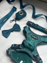 Load image into Gallery viewer, Seafoam Seat Belt Restraint