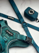Load image into Gallery viewer, Seafoam Lead